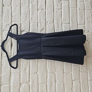 Express fit and flare dress